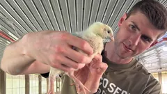 27歳の銀行員が年収15万ドルの仕事を辞め、ニワトリの飼育を始めた――その理由とは