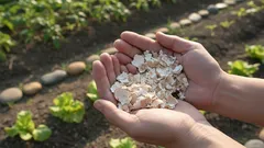 それを捨てるのはもったいない!卵の殻が植物を救う場面とは